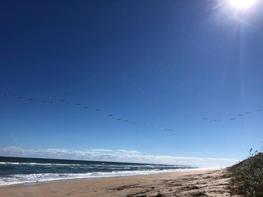 Zen Beach Retreat - Ocean View Townhouse -No Drive Beach New Smyrna Beach Dış mekan fotoğraf